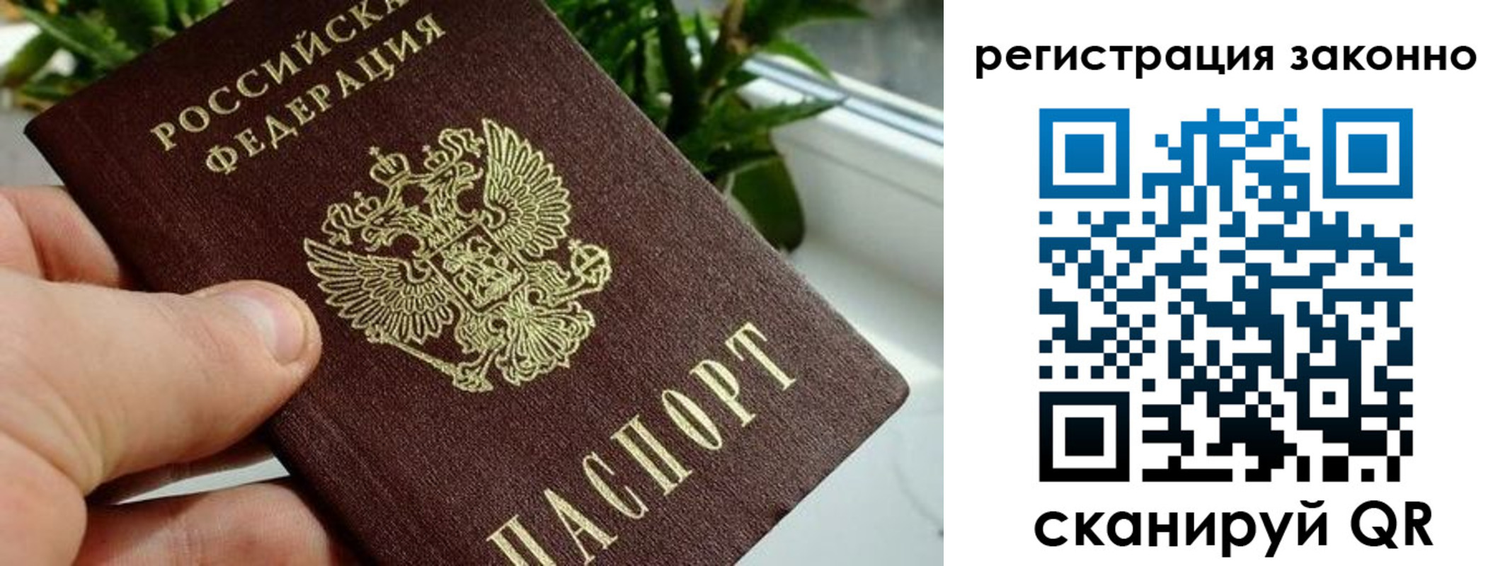 прописка гарантия в Жуковском
